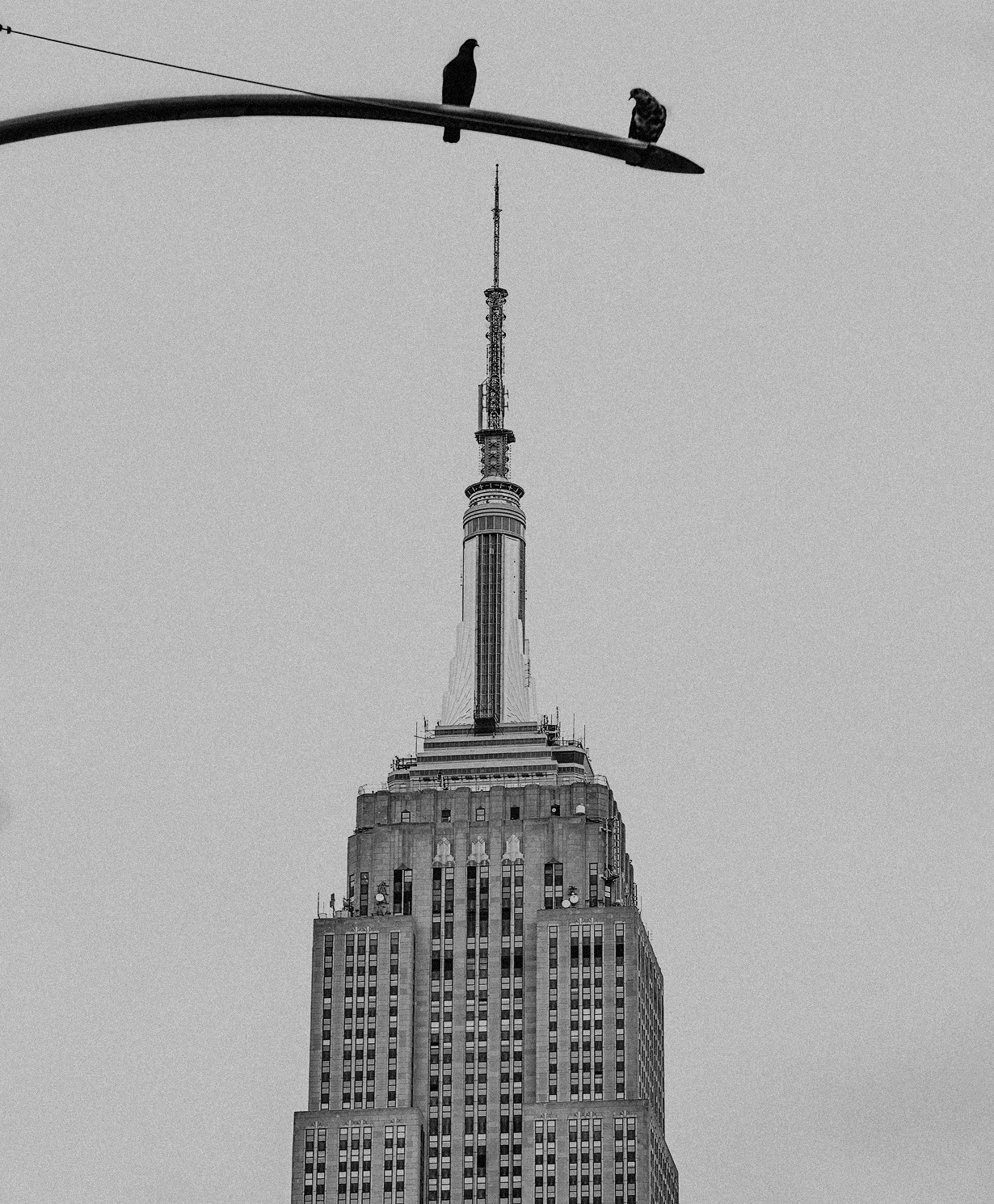 Empire State Building with two pigeons on a street lamp, New York — Massimo Dutti NY Fashion Week