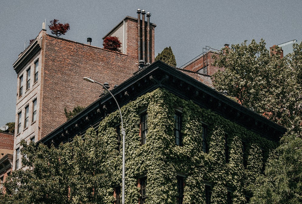 Ivy-covered townhouse in the West Village — Massimo Dutti NY Fashion Week