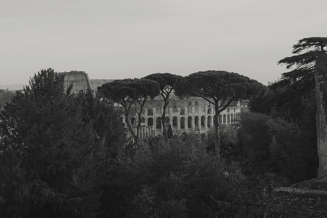 Pine trees and ancient ruins in Rome