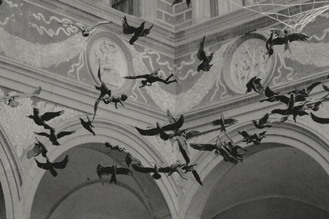 Ceiling frescoes with birds in a Roman palazzo