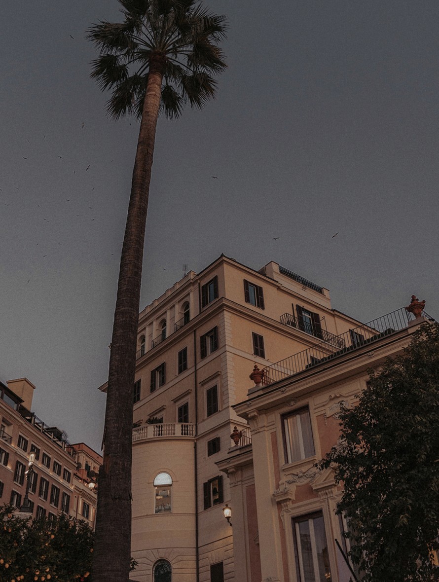 Palm tree and façade at dusk — Rome